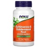 NOW FOODS Echinacea & Goldenseal Root (podpora imunitného systému) 100 vegetariánskych kapsúl