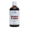 INVENT FARM Borio Farm (Imunitný systém) 100ml