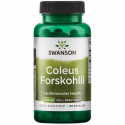 SWANSON Coleus Forskohlii (ajurvédska bylina Forskolin) 400 mg – 60 kapsúl