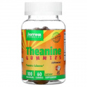 JARROW FORMULAS Theanine Gummies 100 mg (L-Theanine) 60 Gummies