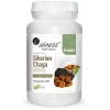 ALINESS Siberian Chaga 400 mg (strieborná Chaga) 90 vegánskych kapsúl