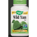 Nature&#39;s Way Wild Yam 425 mg - 180 vegetariánskych kapsúl