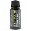 OLIMP Blackweiler Shred Shot 1 x 60 ml (predtréningové) citrusové plody