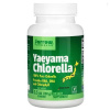 JARROW FORMULAS Yaeyama Chlorella Powder (prášok zo sladkovodných rias) 100 g