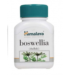 HIMALAYA Boswellia Shallaki (Kĺby) 60 kapsúl