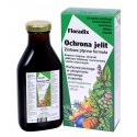 FLORADIX Ochrana čriev (bylinná tekutá receptúra) 250 ml