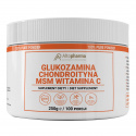 ALTO PHARMA Glukosamín Chondroitín MSM (kĺby) 250 g